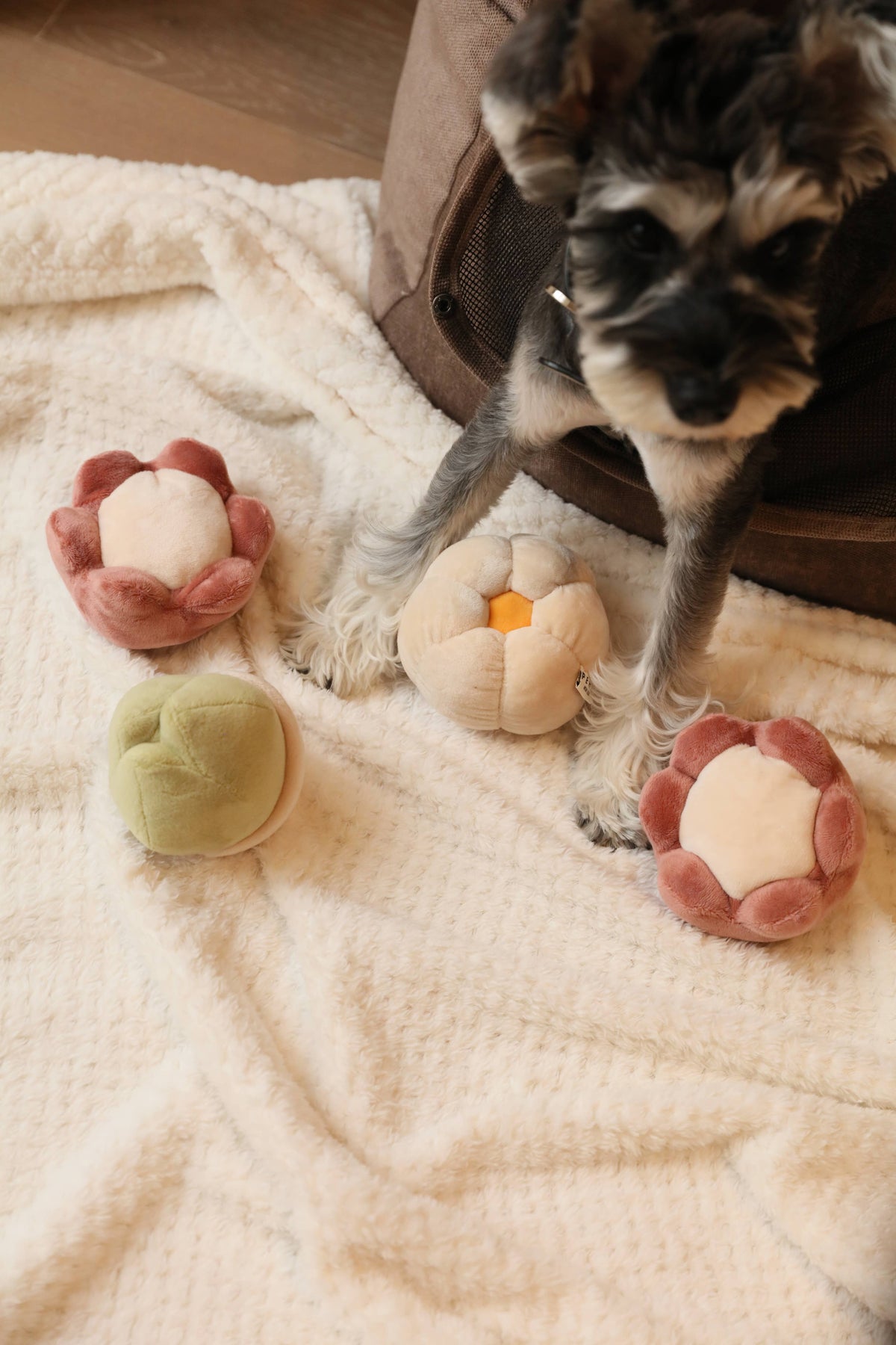 Paradise Toy