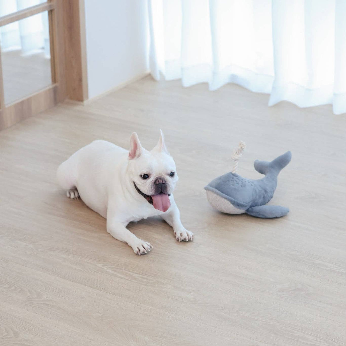 Wally the Whale Squeaky Cuddle Dog Toy