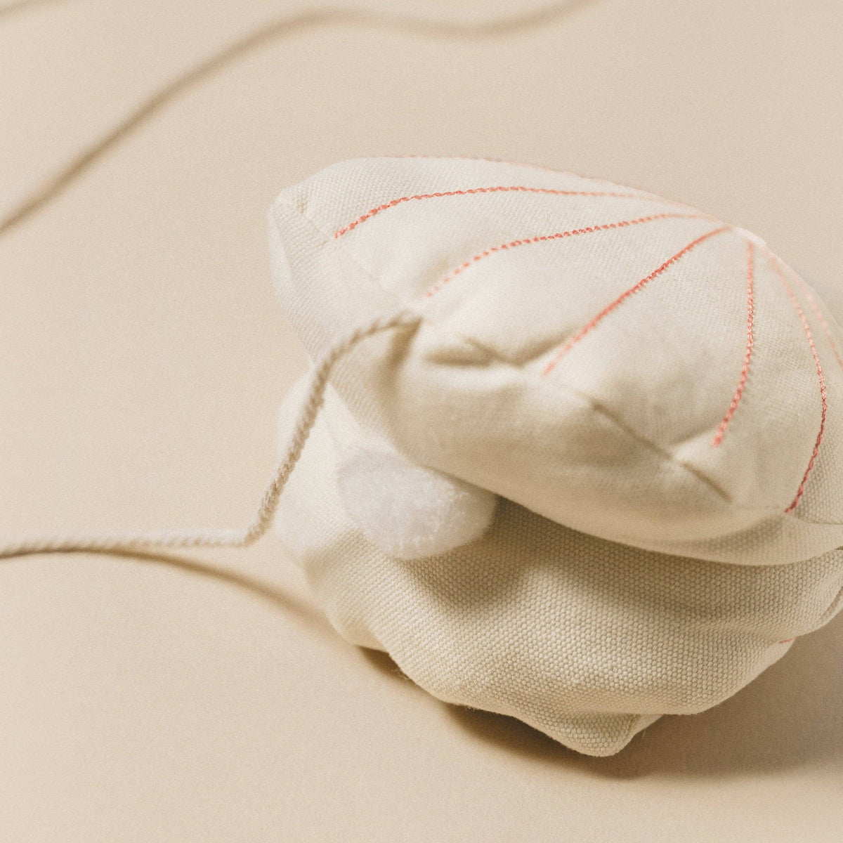 Seashell Cat Toy