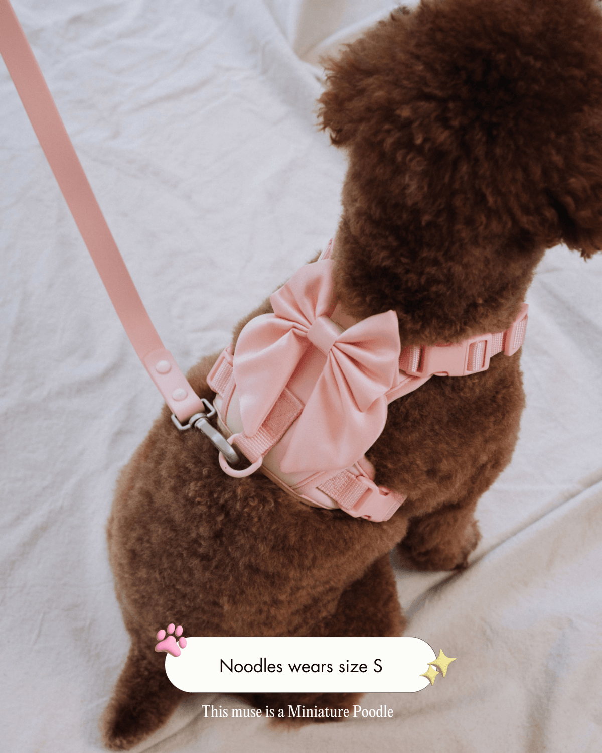 Wander! Bow Harness Blossom