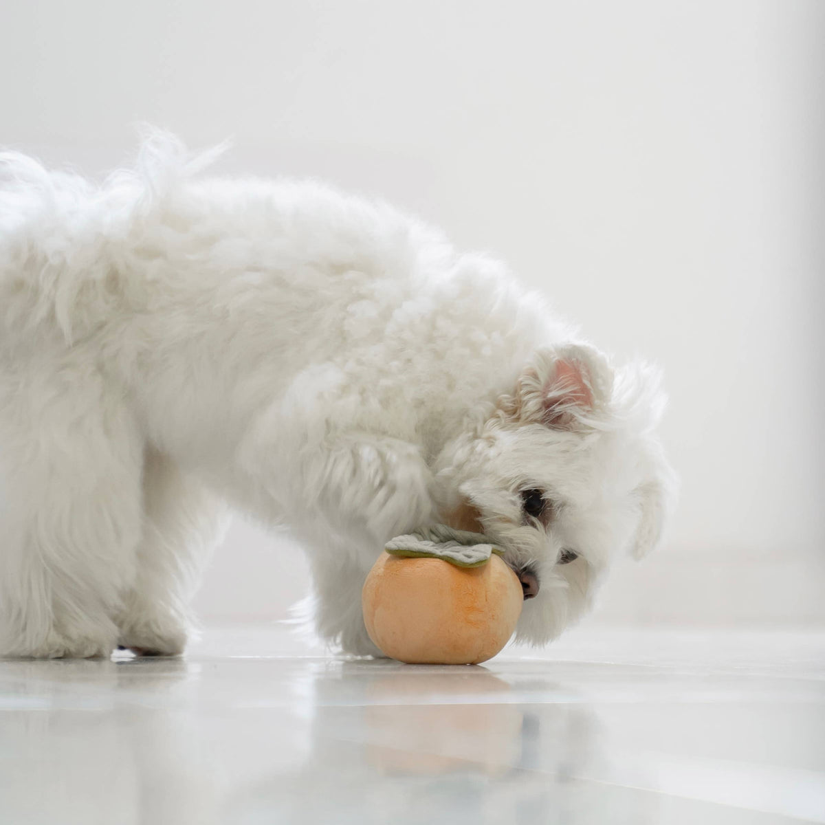 Fruit Enrichment Snuffle Toy Set