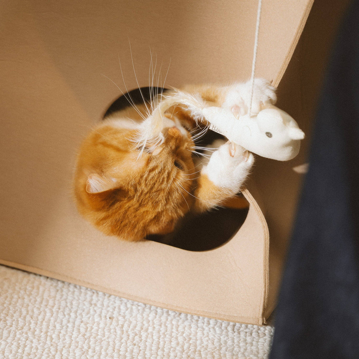 Birdie Cat Toy