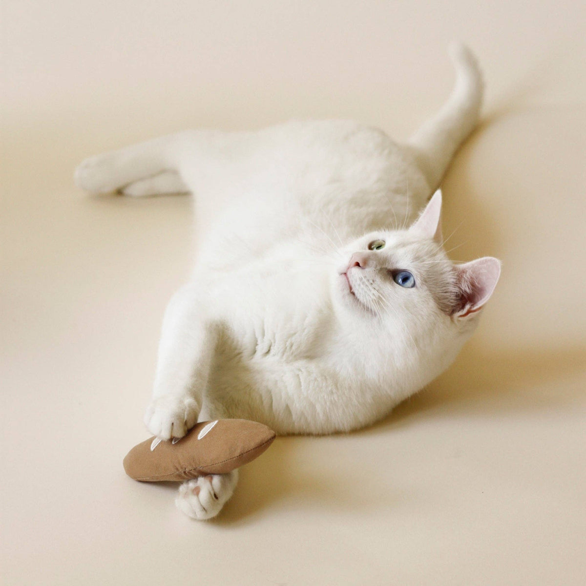 Warm Baguette Cat Toy