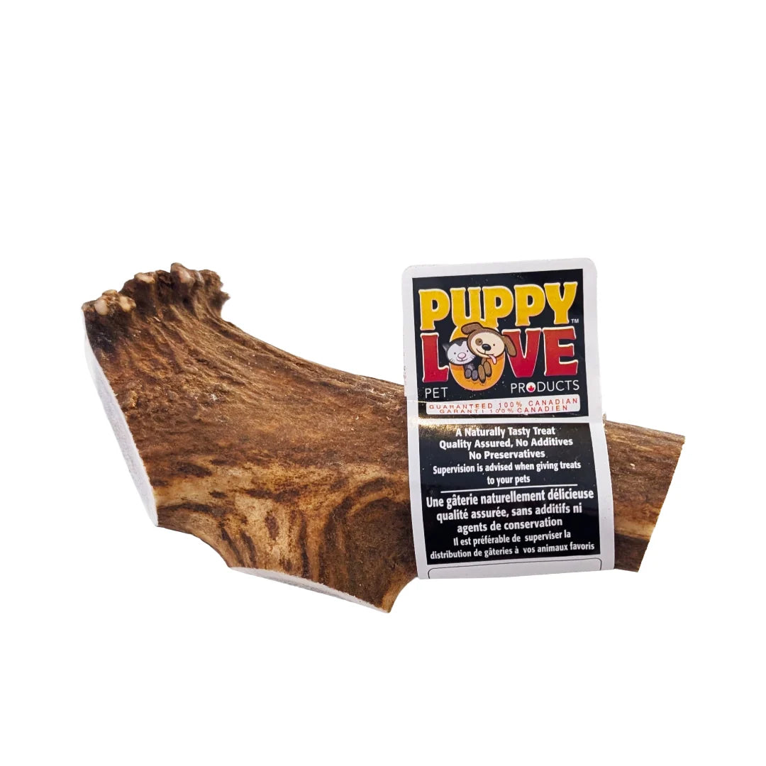 Elk Antler - Large Split - 1 piece