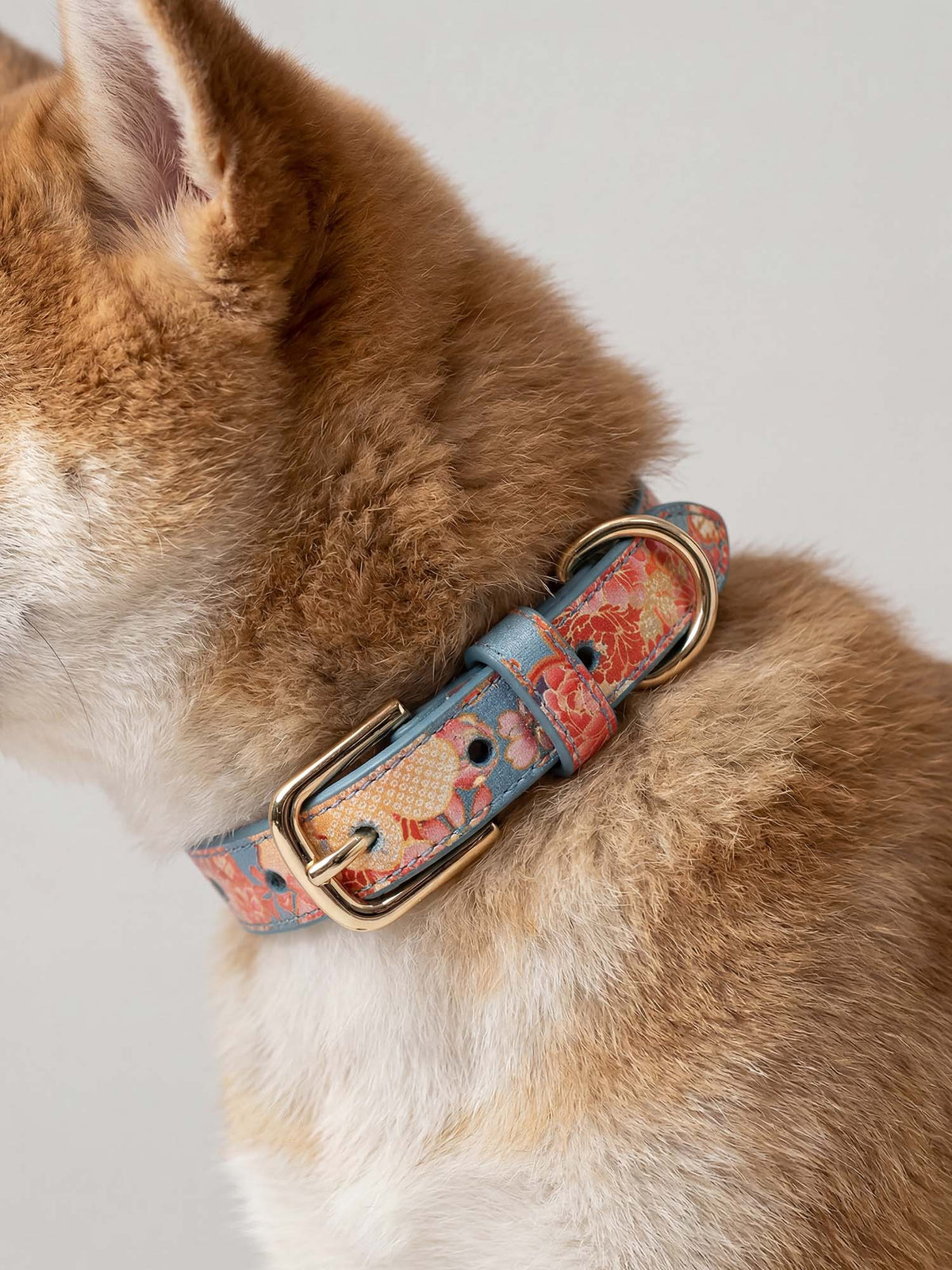 Lucca Collar - Sakura Collection