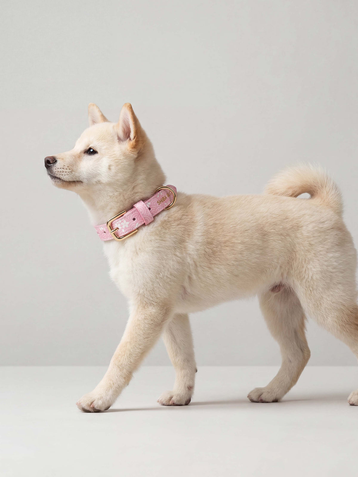 Lucca Collar - Sakura Collection