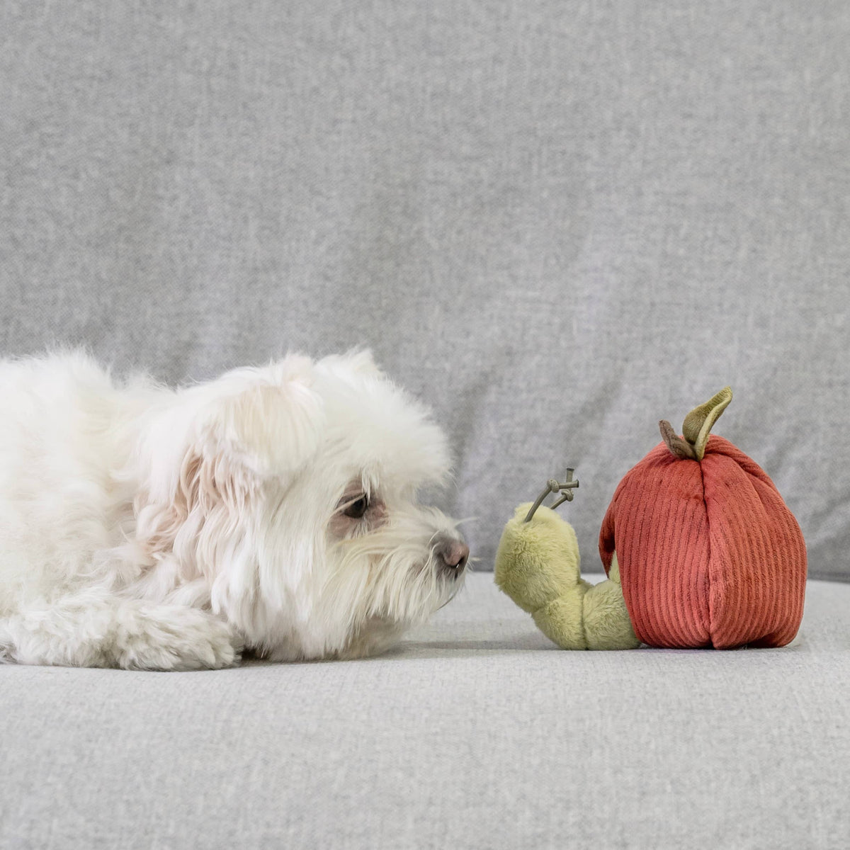 Fruit Enrichment Snuffle Toy Set