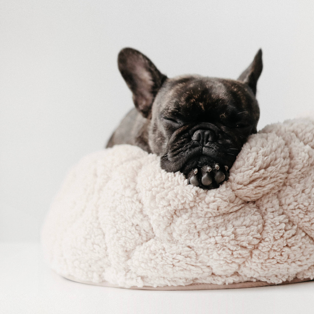 Taart Reversible Dog & Cat Bed - Petite