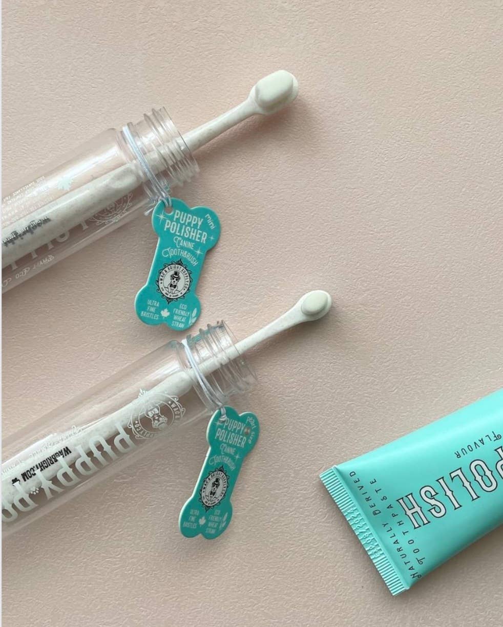 Puppy Polisher Pearl Eco Toothbrush - Pearl (XS)