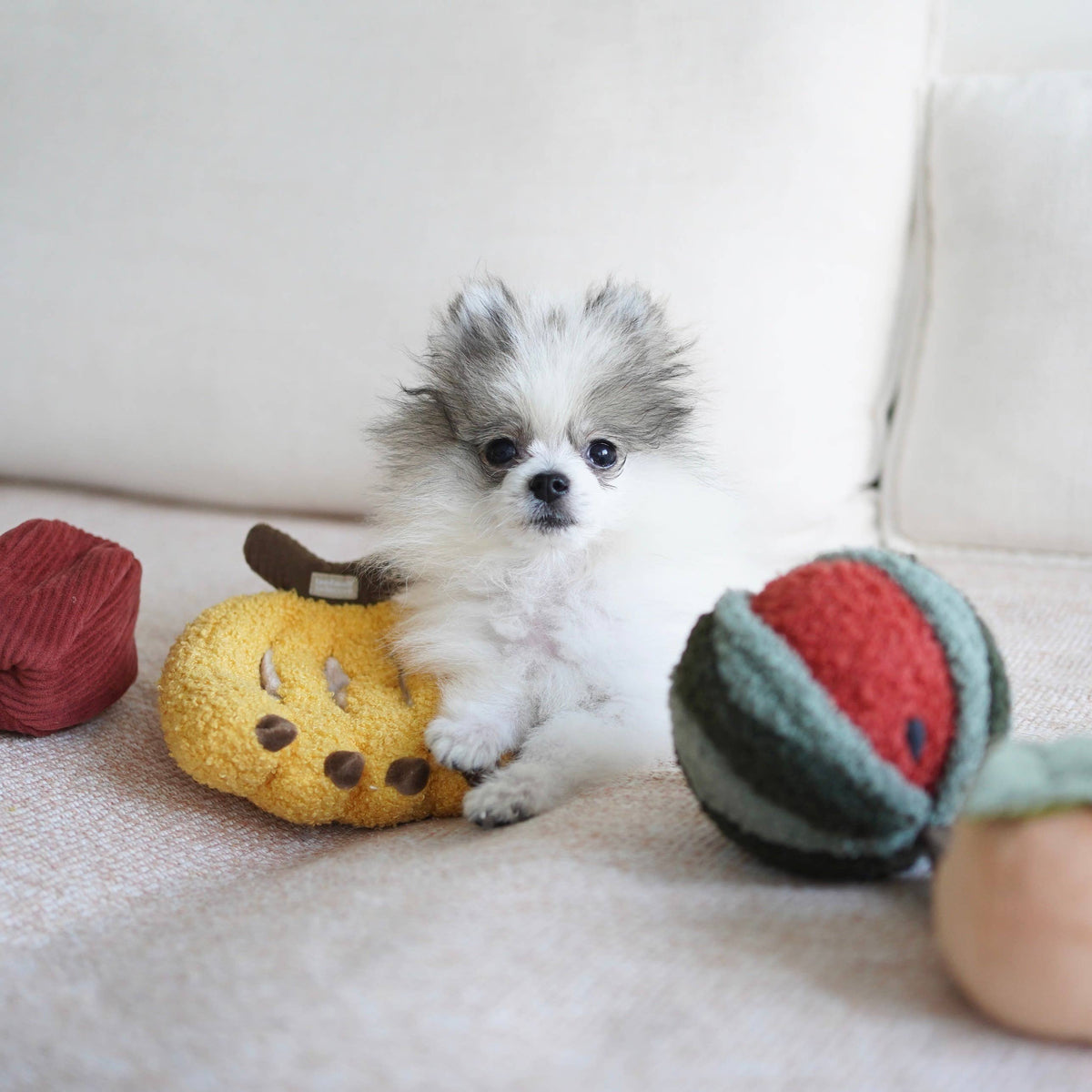 Fruit Enrichment Snuffle Toy Set