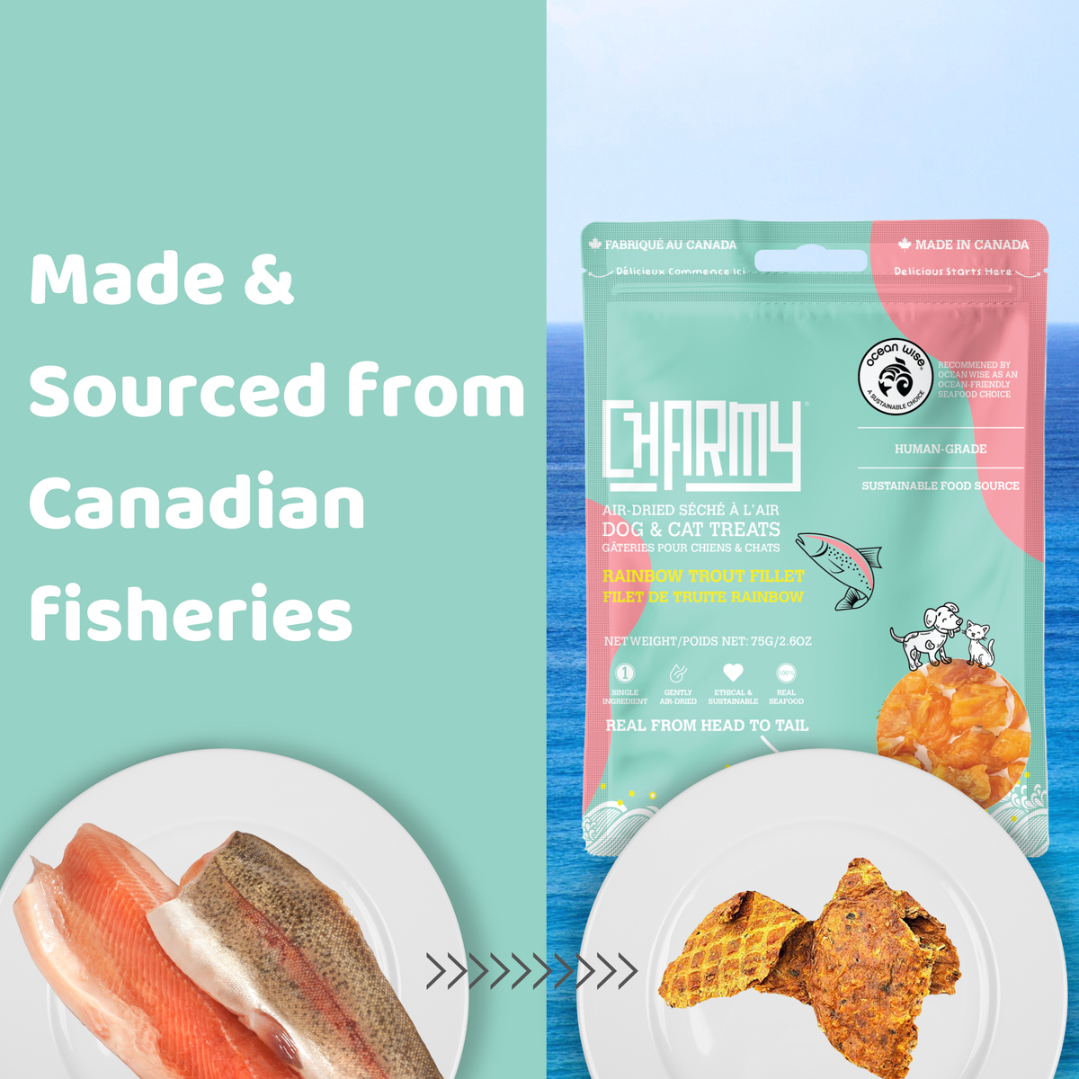 Rainbow Trout - 75g / 2.5oz