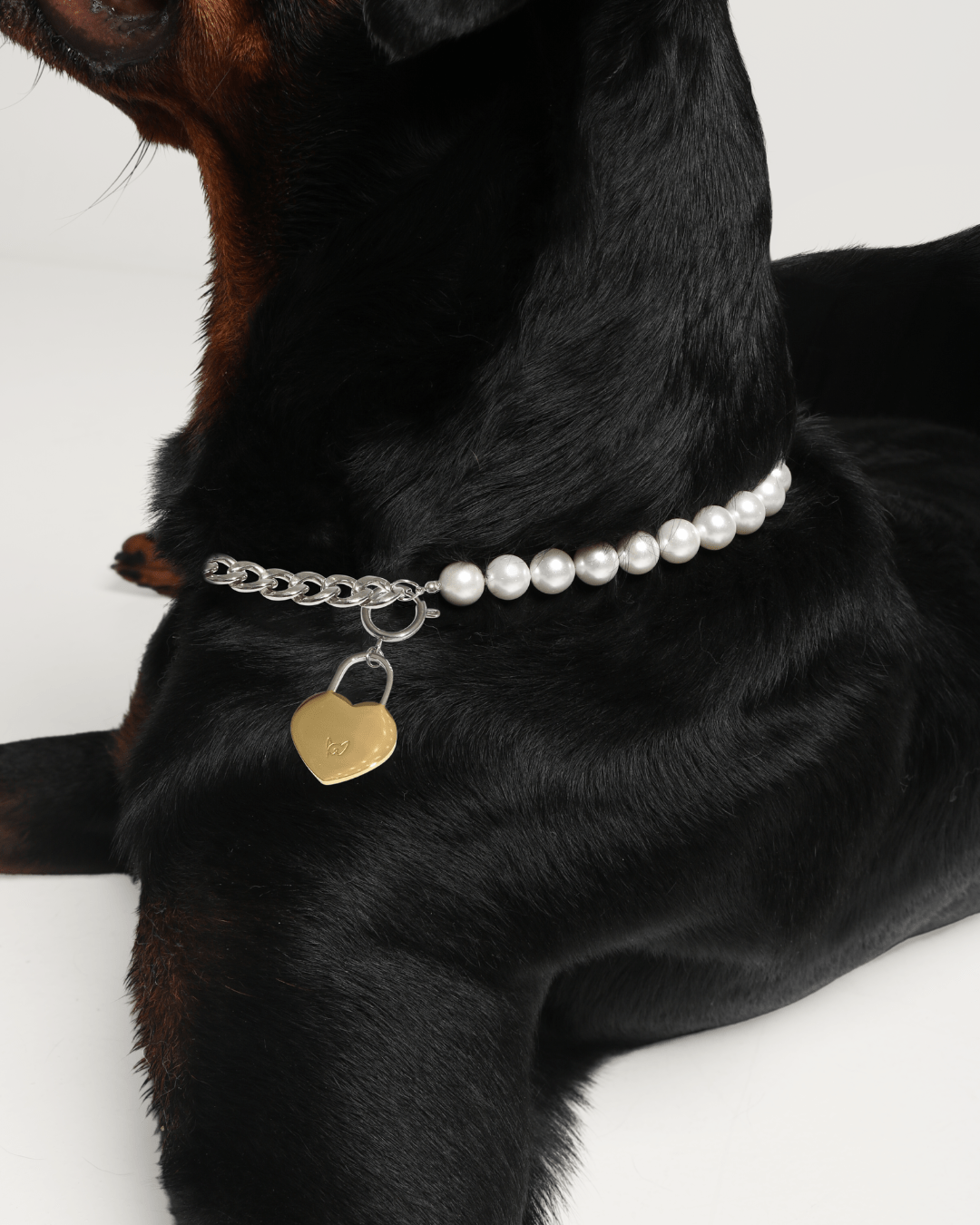 The Lola Necklace