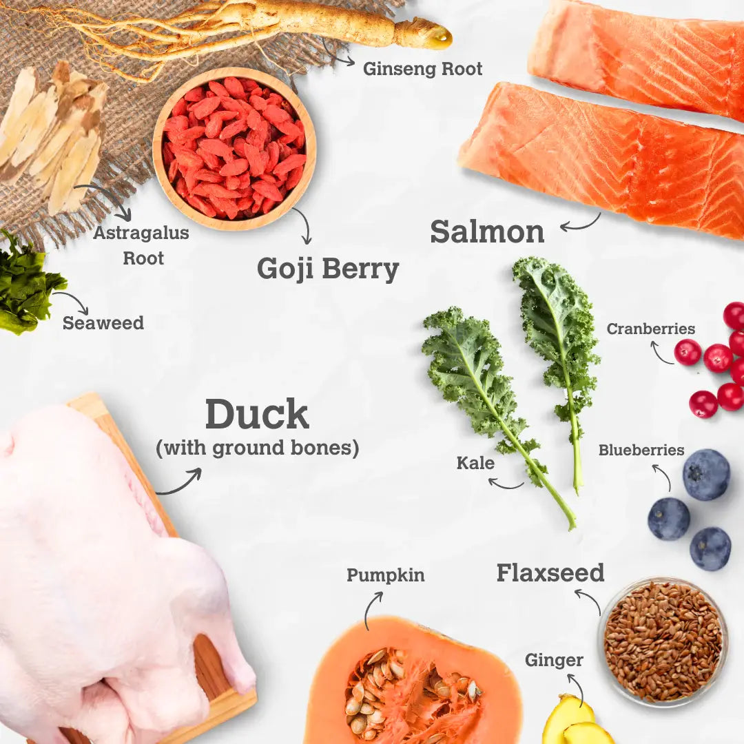 Salmon & Duck Harmony Recipe