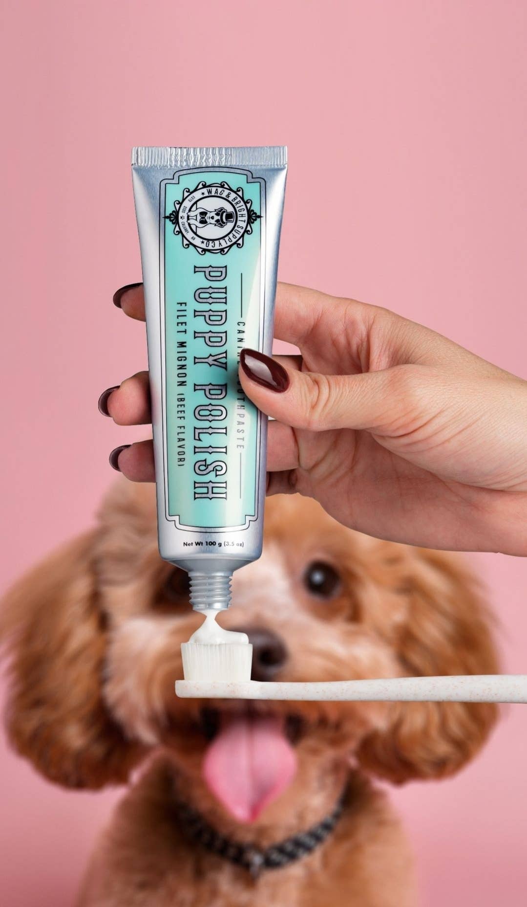 Puppy Polisher Eco Toothbrush - Medium