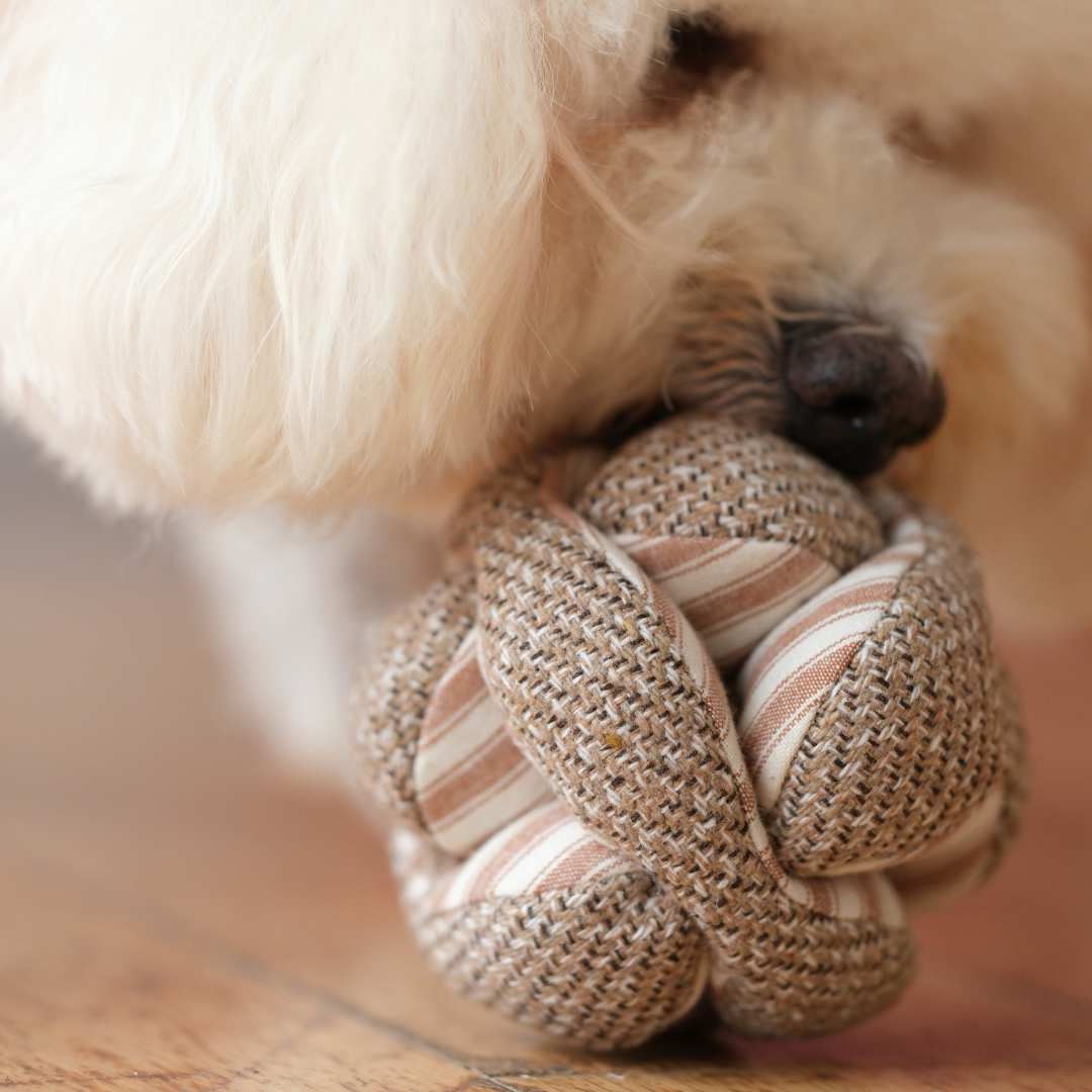 Mini Monti Enrichment Snuffle Dog Toy