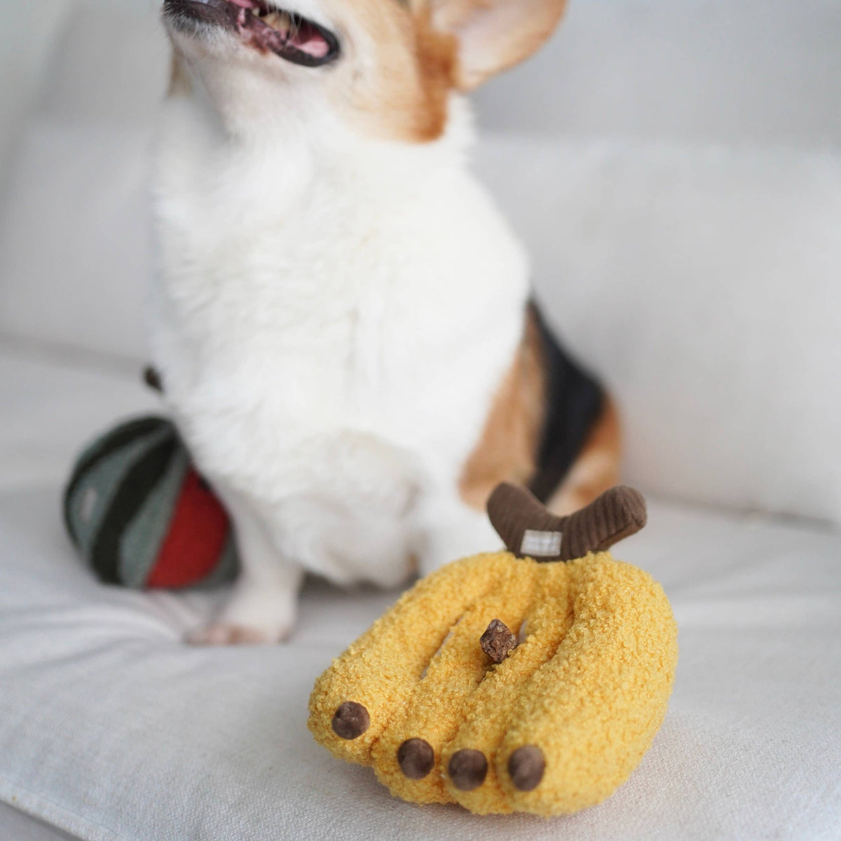 Banana Enrichment Snuffle Dog Toy