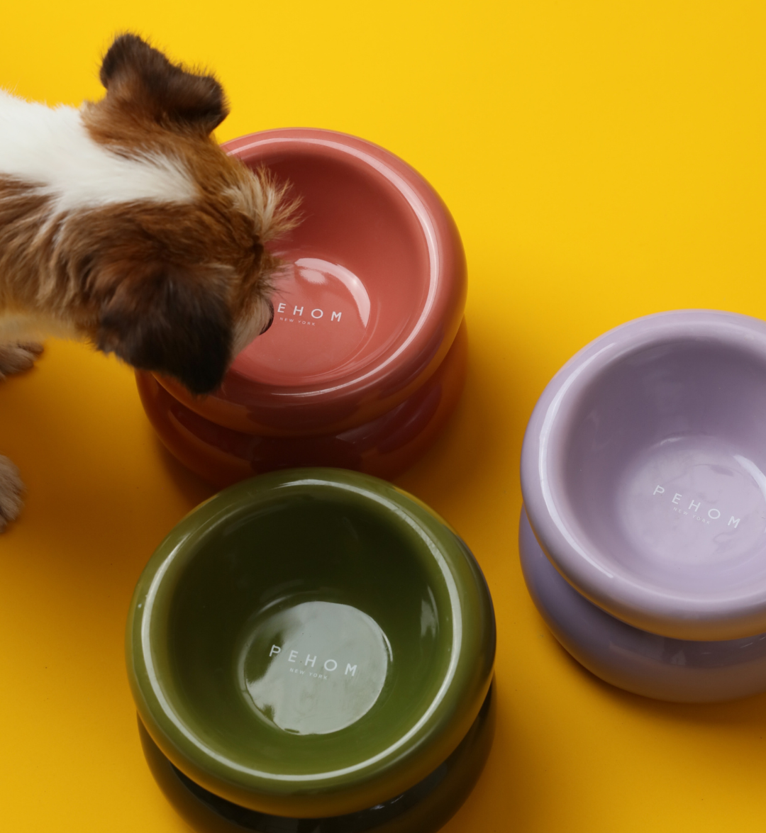Soufflé Pet Bowl - Purple