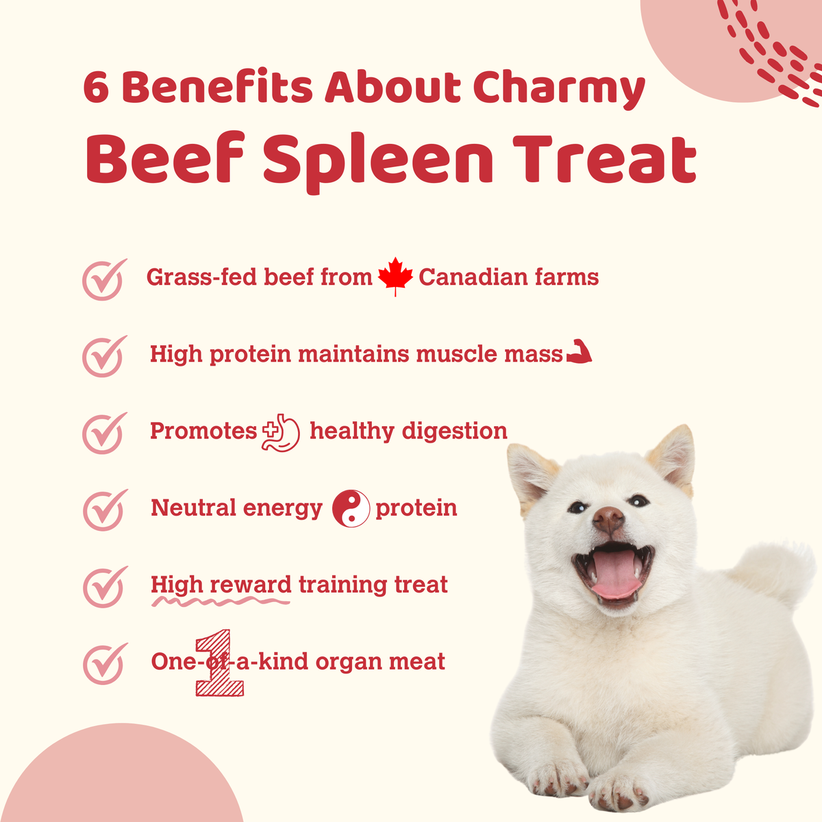 Beef Spleen - 80g / 2.8oz