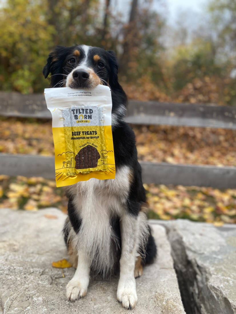 Beef Treats For Dogs 100g/3.53oz