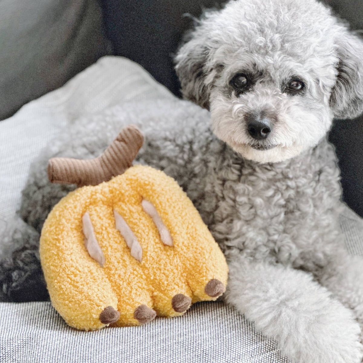Banana Enrichment Snuffle Dog Toy