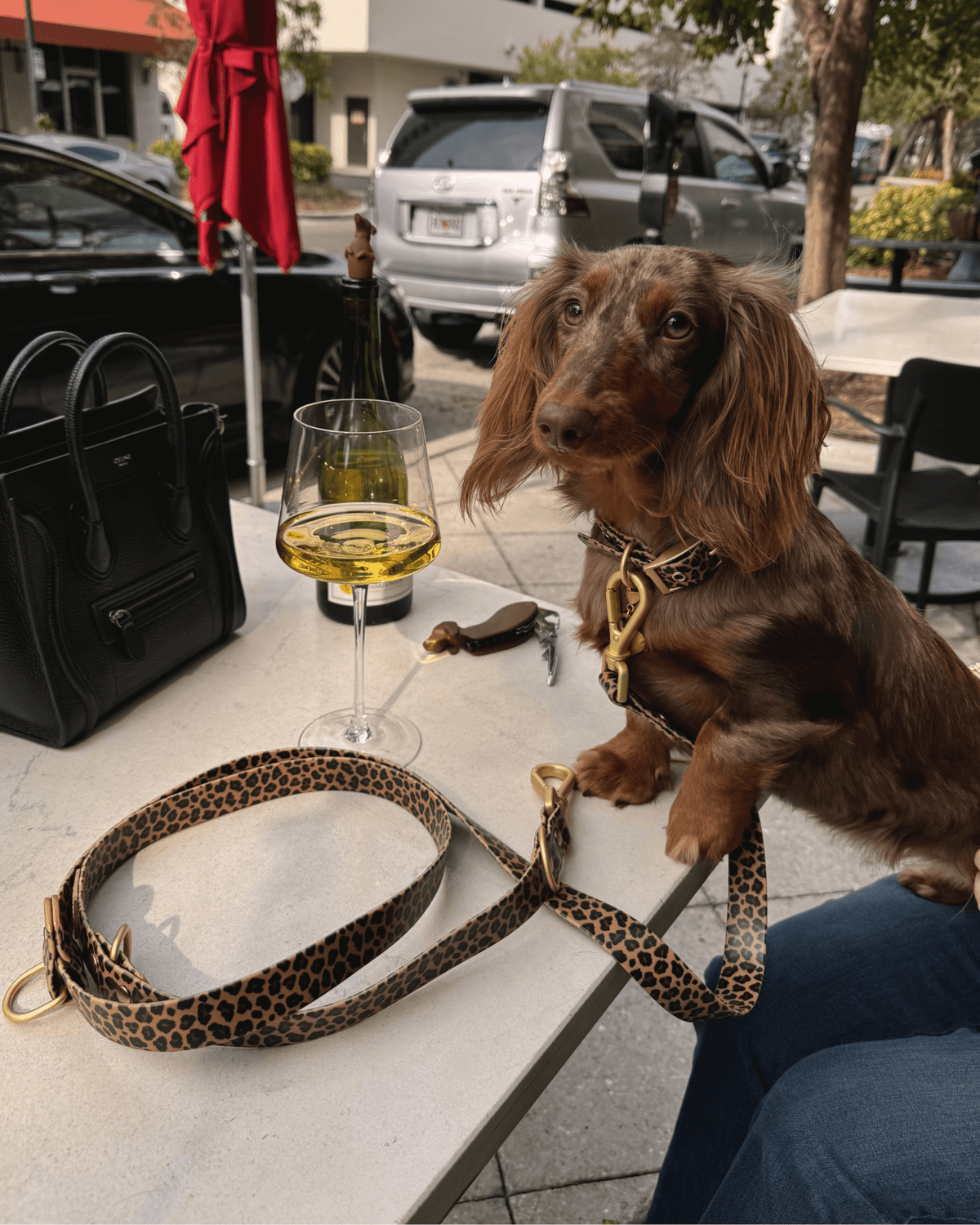 Wander! Multiway Leash - Leopard
