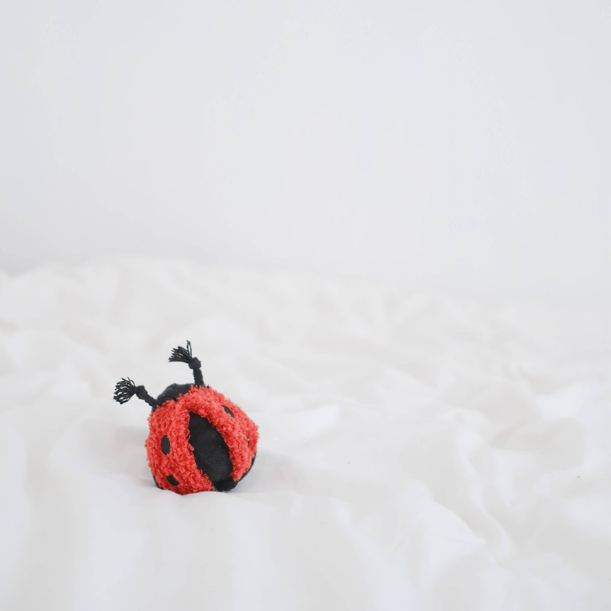 Ladybug Pop Enrichment Dog Toy - Mini