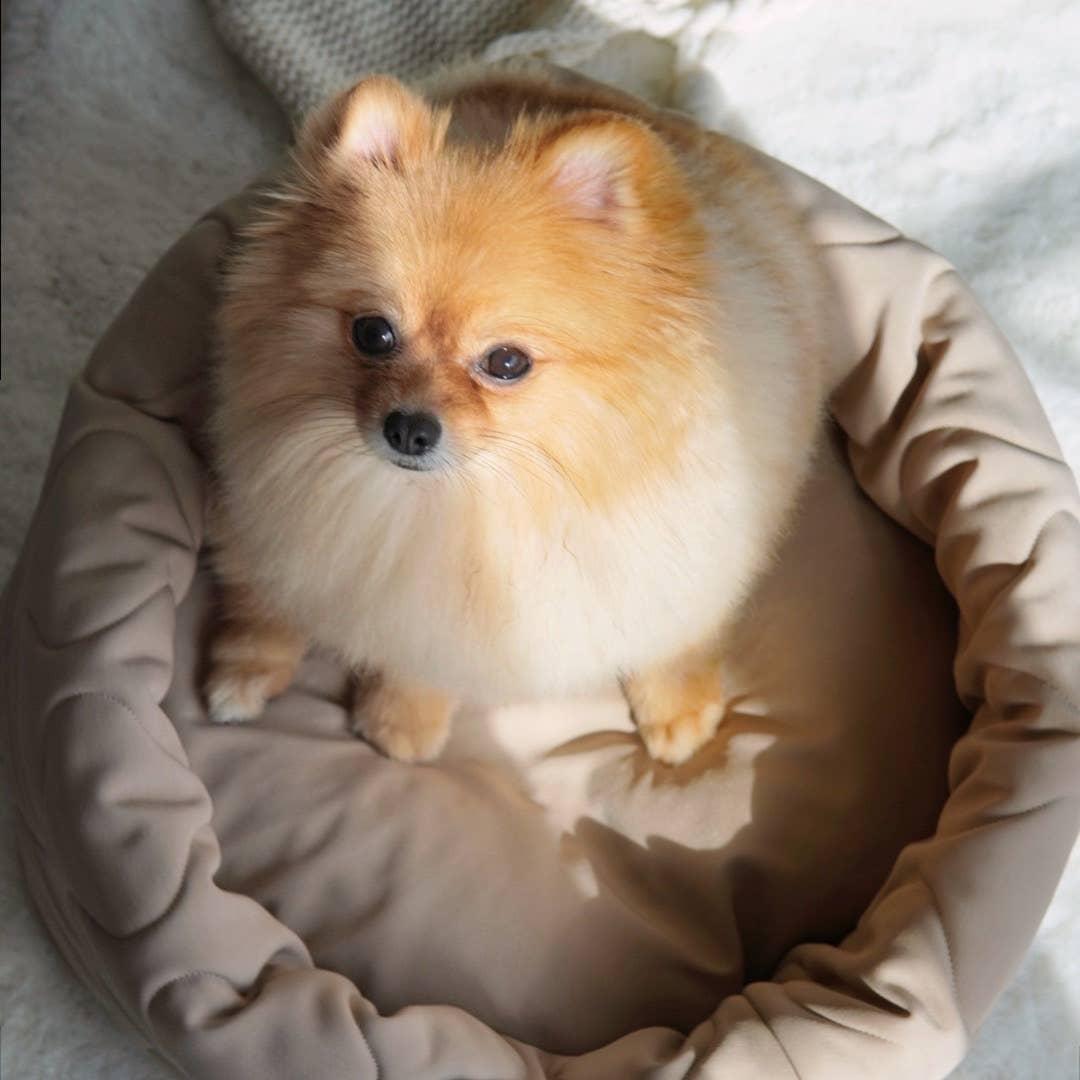 Taart Reversible Dog & Cat Bed - Petite