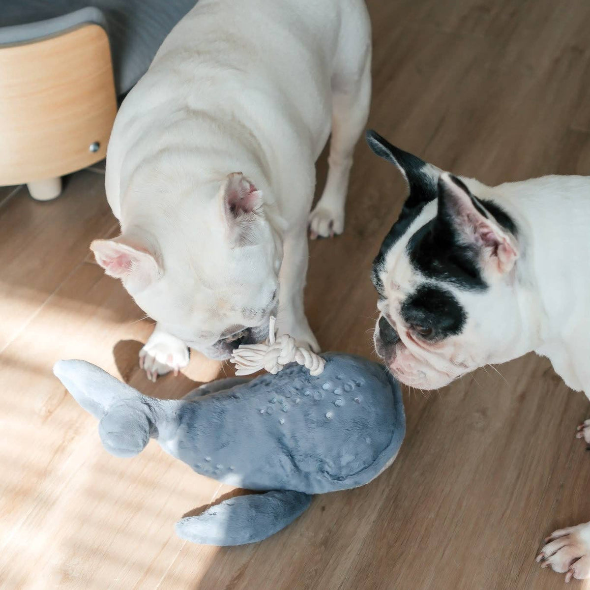 Wally the Whale Squeaky Cuddle Dog Toy
