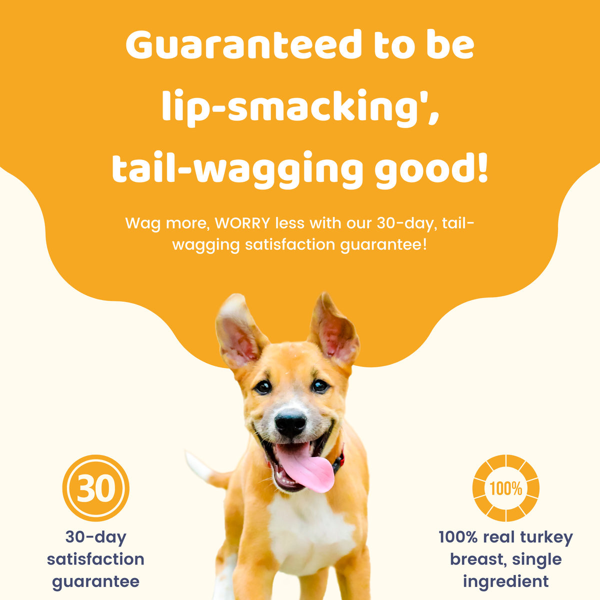 Turkey Breast - 90g / 3.2oz
