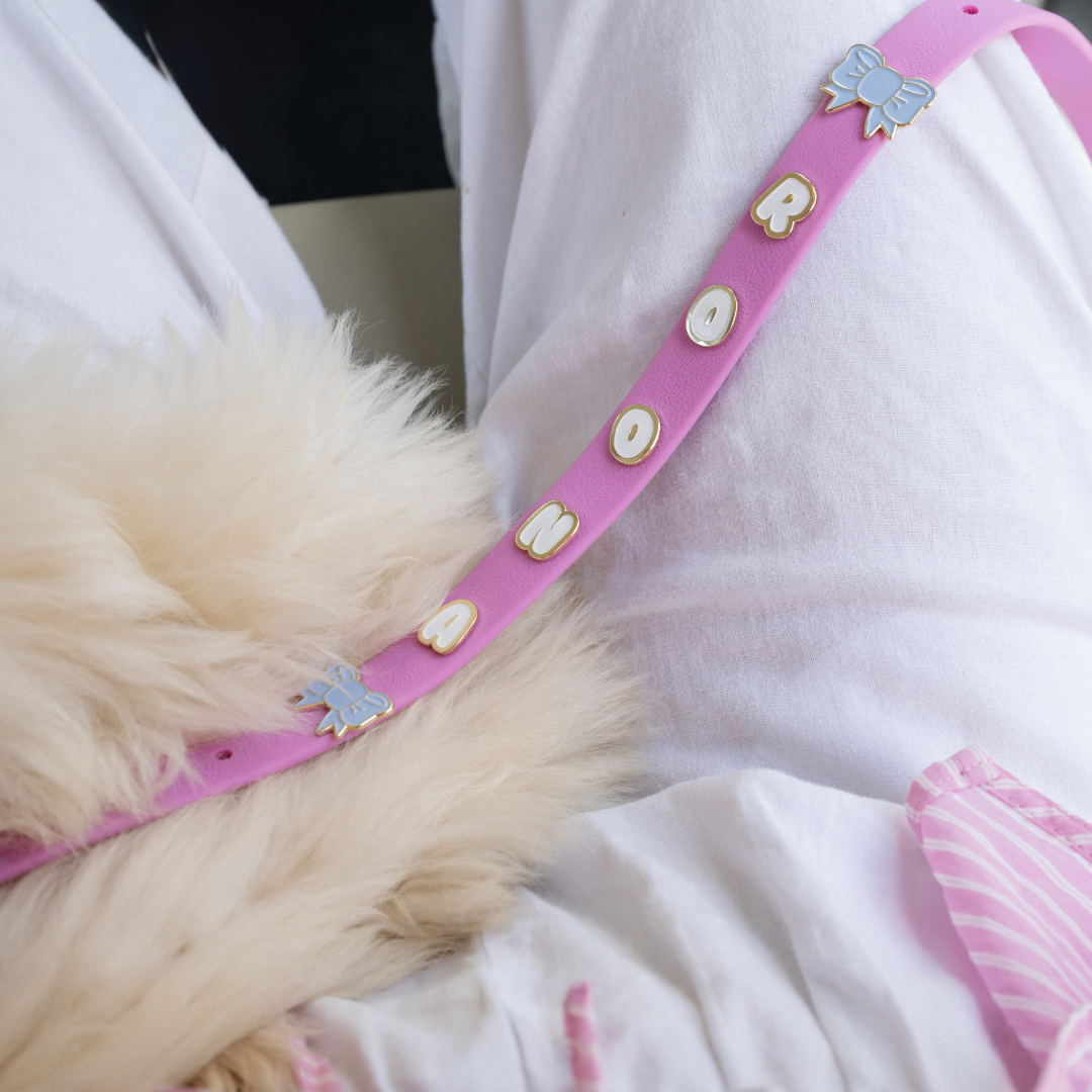 Moodies Leash