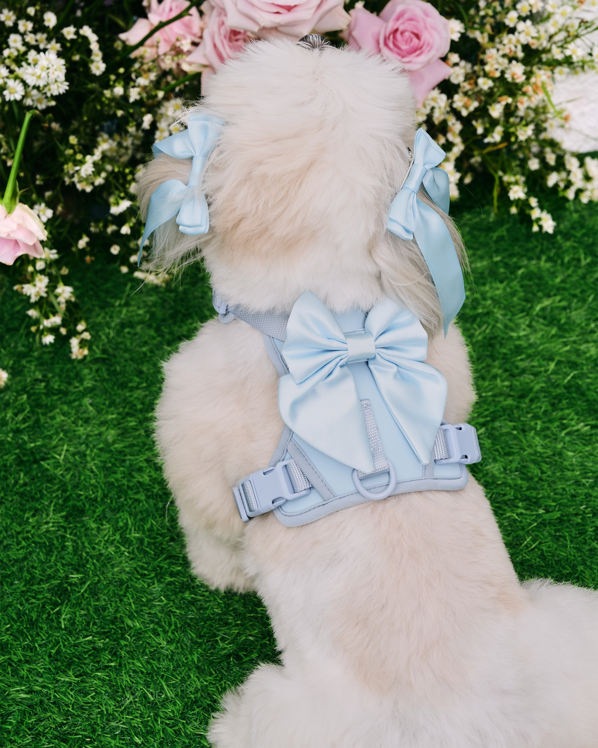 Wander! Bow Harness Sky