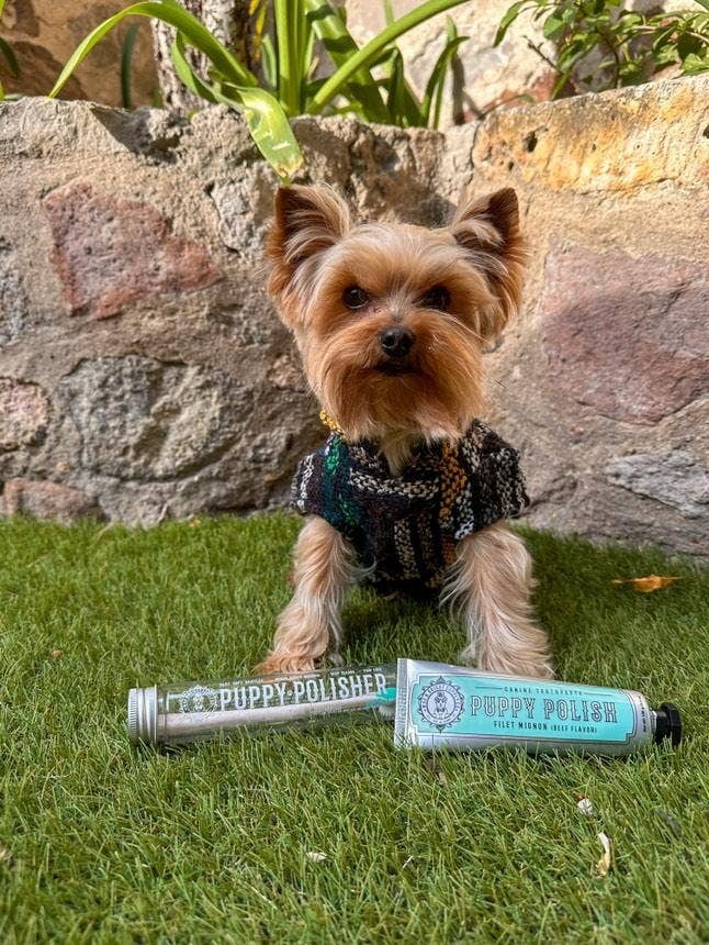 Puppy Polisher Pearl Eco Toothbrush - Pearl (XS)