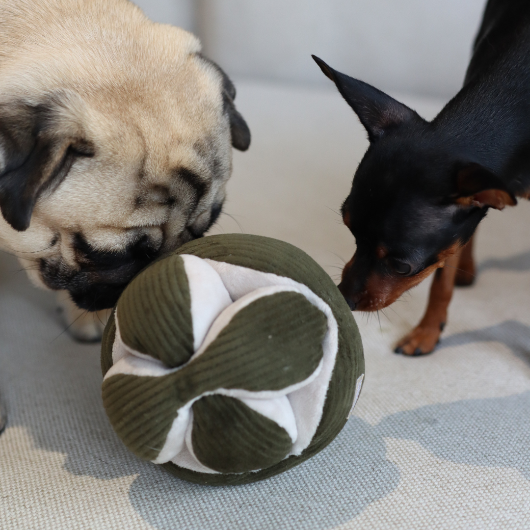 Monti Enrichment Silent Snuffle Dog Toy - Pine