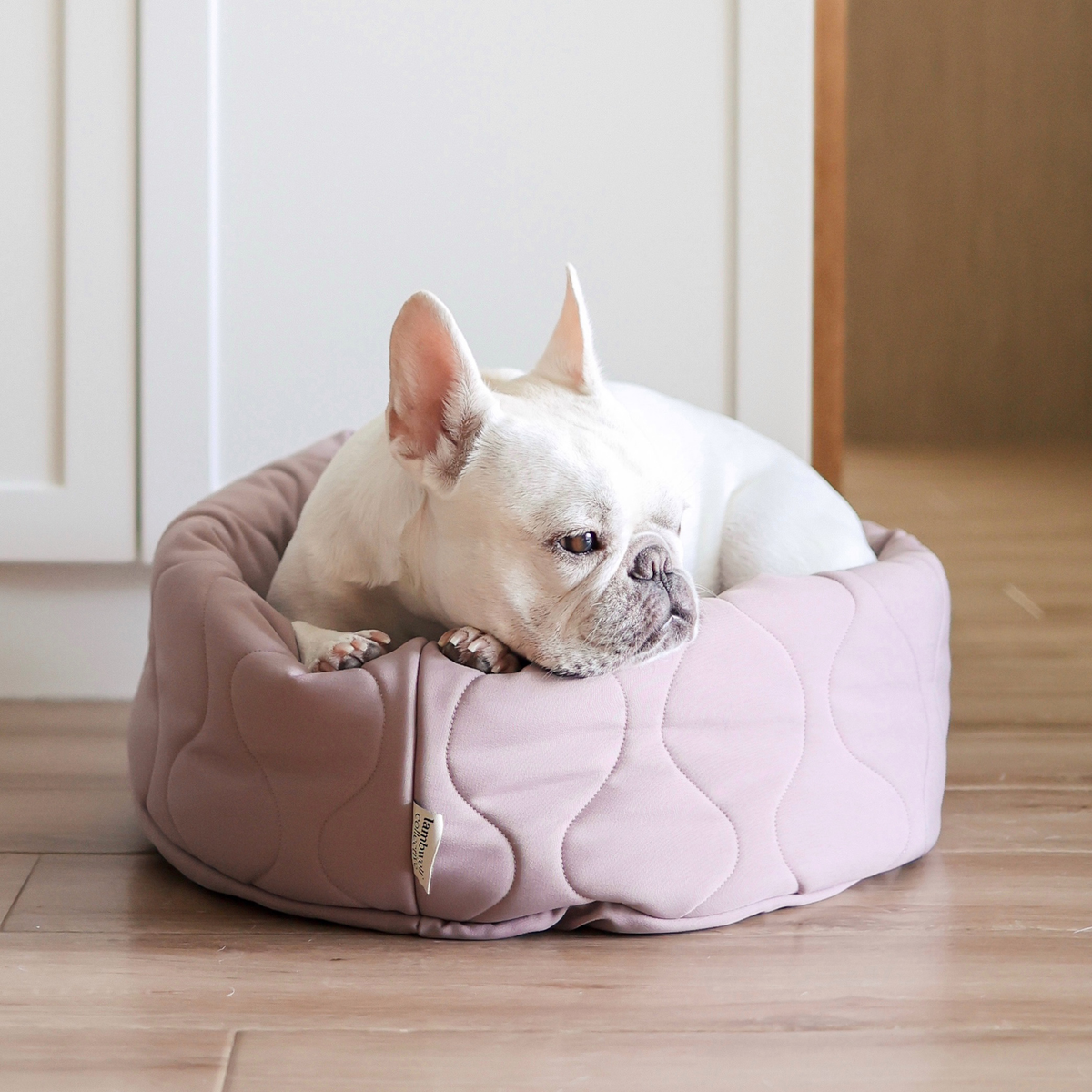 Taart Reversible Dog & Cat Bed - Petite