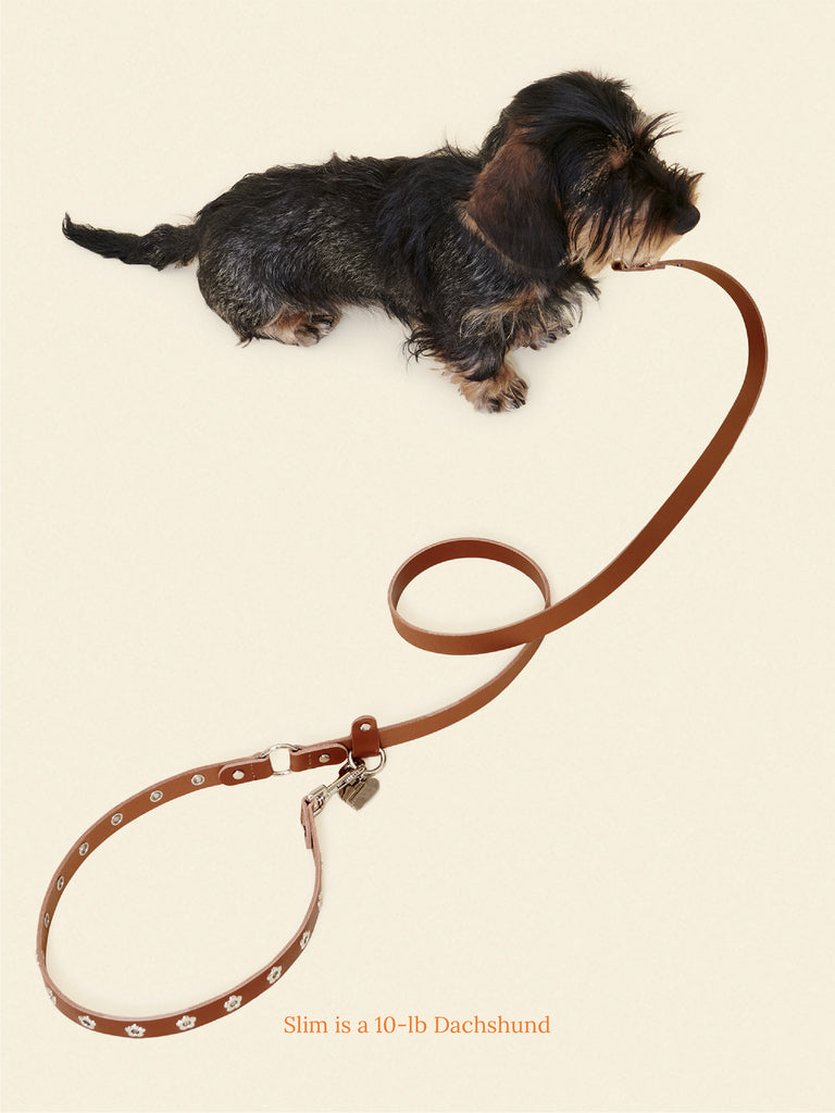 Flower Power Leash - Hazel
